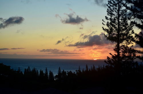 Photo 16 - Kapalua Golf Villa 25v2 Gold Ocean View