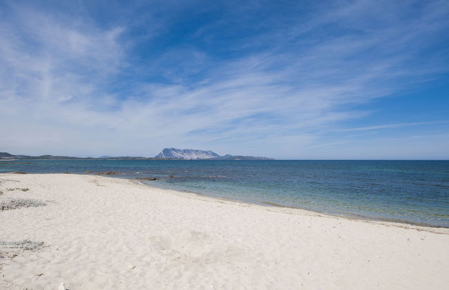 Residence Approdo Verde - Photo 35