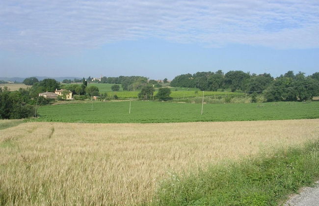Agriturismo Il Borghetto - Foto 46