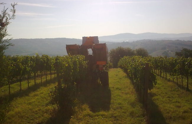 Agriturismo Il Borghetto - Foto 51