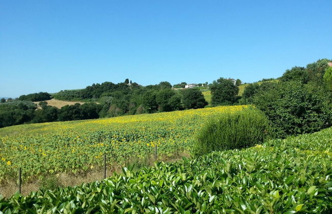 Agriturismo Il Borghetto - Foto 48