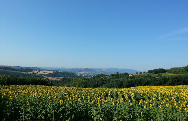Agriturismo Il Borghetto - Foto 44