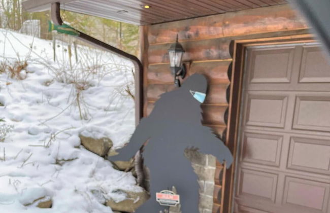 Eagle Scout Lodge - Photo 49
