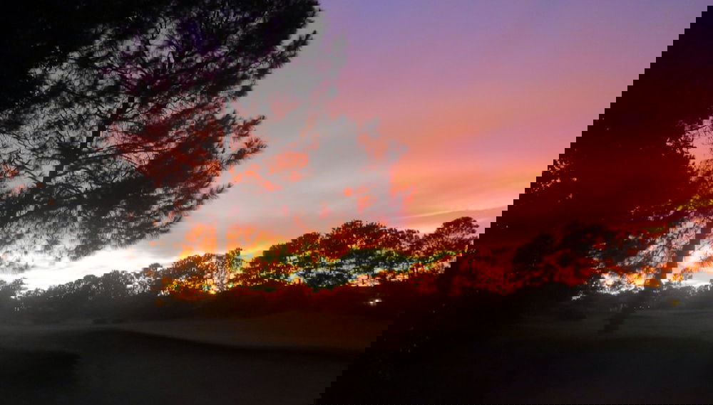 Imagem principal