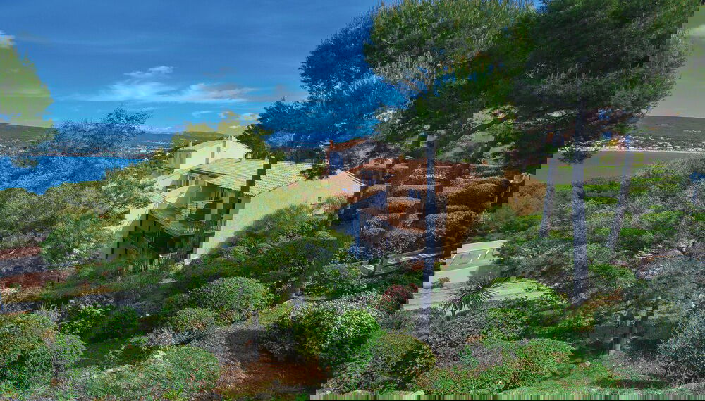 Imagem principal