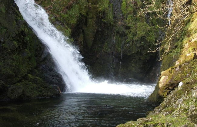 2bed Cabin w/ Parking Near Snowdonia National Park - Foto 17