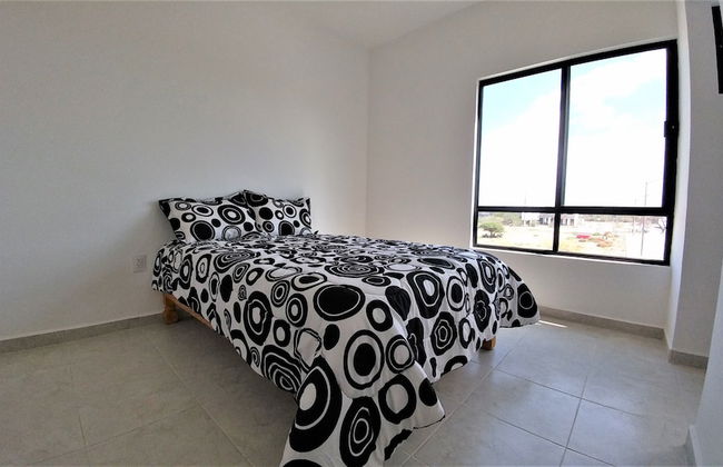 Casa Barbelo - Photo 5