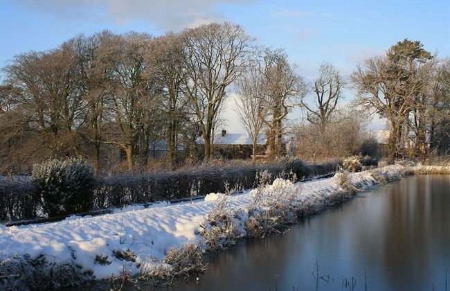 Ballylagan Organic Farm - Foto 35
