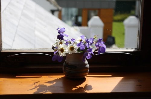 Photo 10 - Ballylagan Organic Farm