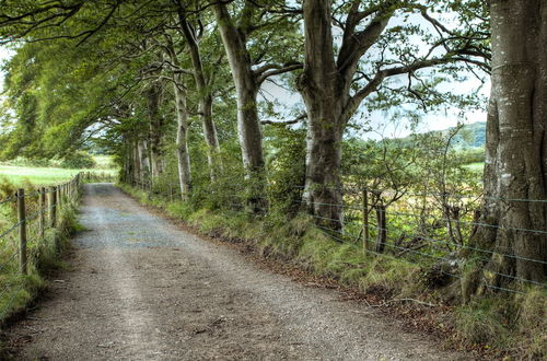 Photo 32 - Ballylagan Organic Farm