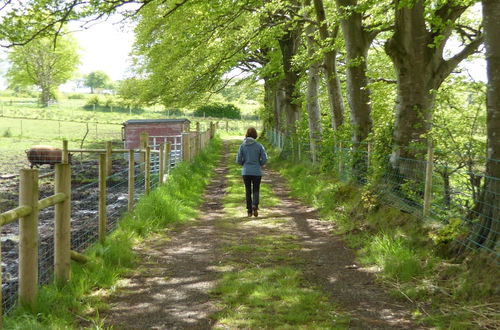 Photo 33 - Ballylagan Organic Farm