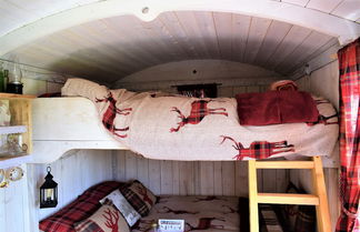 Photo 3 - Meadow Shepherds hut