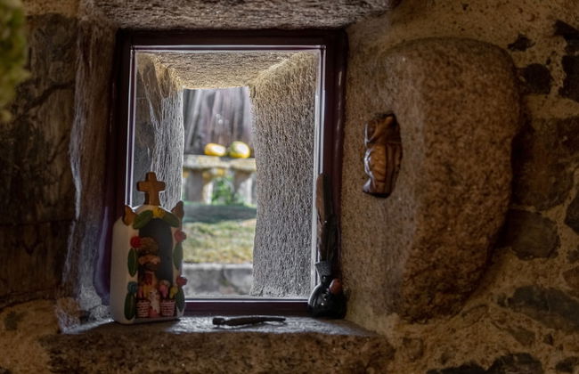 Quinta Eido Oliveira - Photo 75