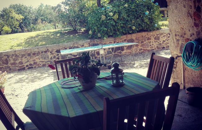 Quinta Eido Oliveira - Photo 48