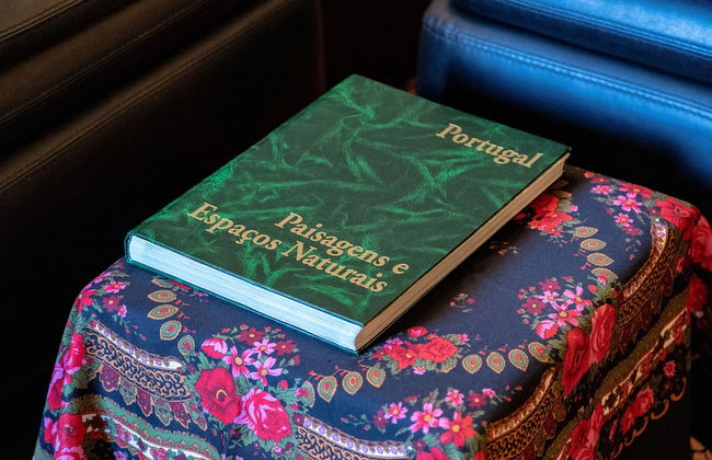 Quinta Eido Oliveira - Photo 74