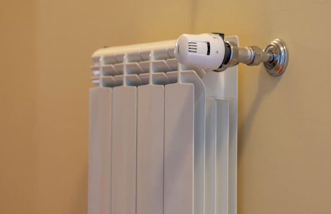 Quinta Eido Oliveira - Photo 49