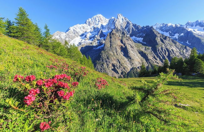 Cozy Apartment With Garden in Courmayeur - Foto 15