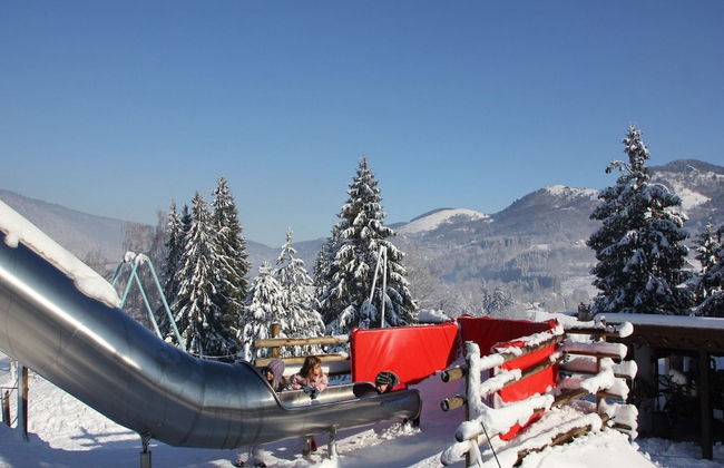 Nice Chalet With Dishwasher, in the High Vosges - Foto 35