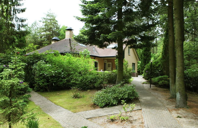 Quaint Villa in Doornspijk With Swimming Pool - Foto 74