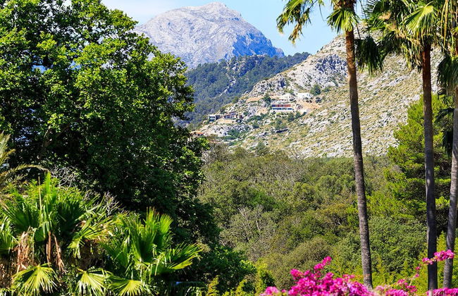 Villa Raconet in Cala Sant Vicen - Photo 14