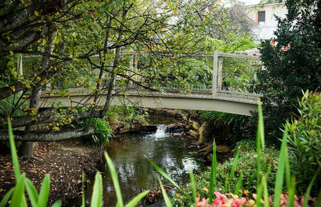 Adelaide Hills Camellia Cottage Wifi - Foto 10