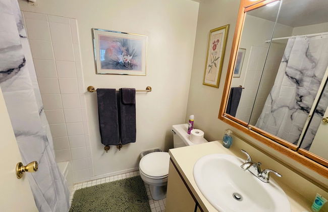 2br 2b in Elkins Park - Foto 9