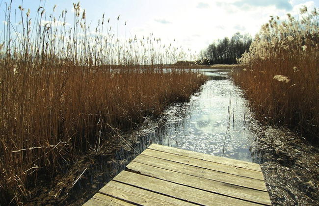 Apartment in Rothbeck With Private Lake Access - Photo 12