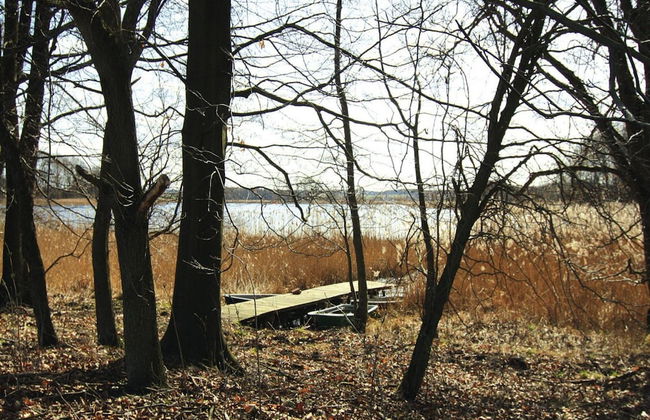 Apartment in Rothbeck With Private Lake Access - Photo 10