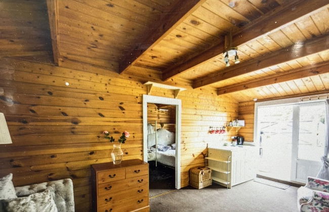 Beautiful 1-bed Secluded Cabin, With bar & Fire - Foto 9
