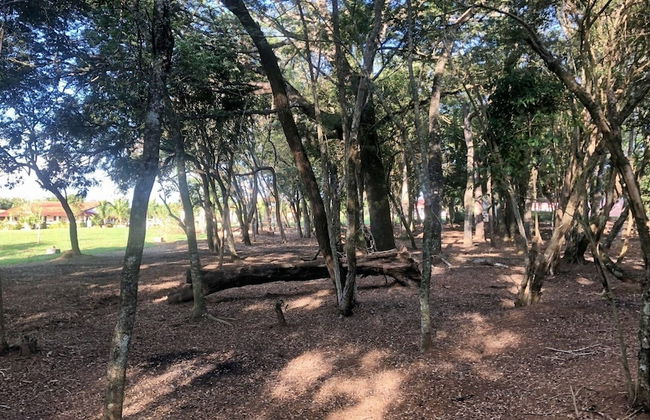 Casa de Campo Ideal para Famílias e Amigos - Foto 30