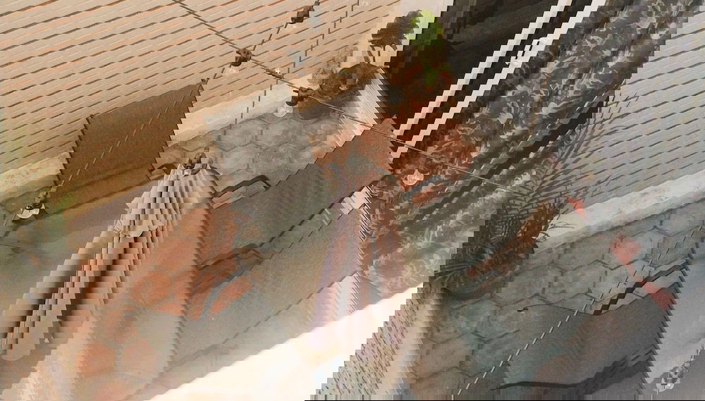 Imagem principal