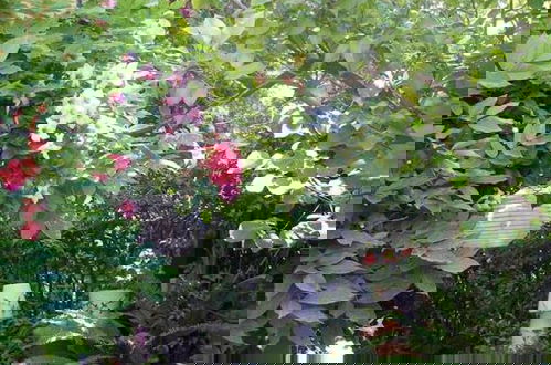 Foto 59 - Living Like in a Cottage in the Center of Athens