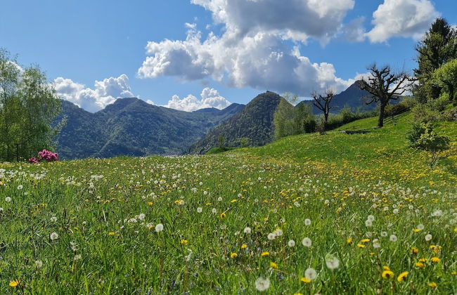 Villa La Betulla - Foto 40