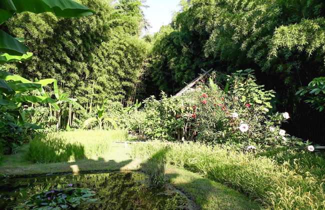 Nice Holiday Home With Private Terrace, Arpaillargues-et-aureillac - Foto 15