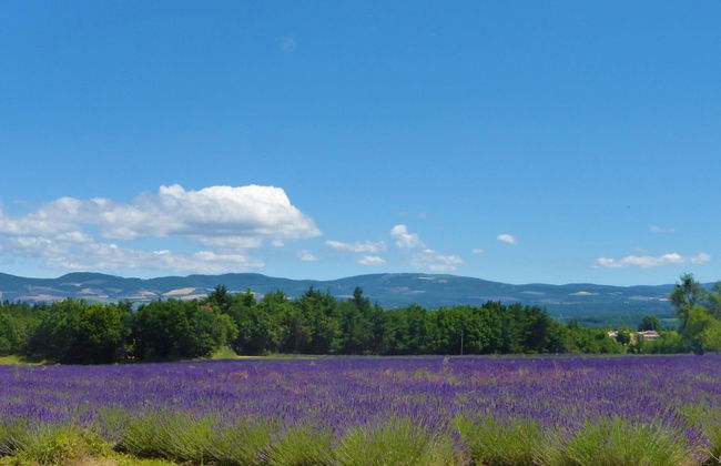 Nice Holiday Home With Private Pool in the Luberon Park, Grambois - Foto 28