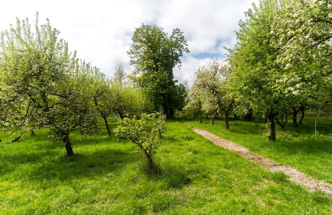 Lake-view Apartment in Klein Pravtshagen With Garden - Foto 49