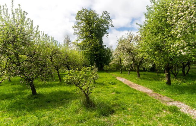Lake-view Apartment in Klein Pravtshagen With Garden - Foto 63