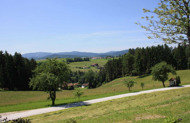 Beautiful Holiday Home in Viechtach With Views - Foto 64