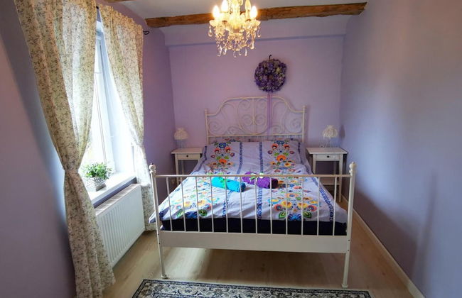 Holiday Apartment in the Countryside, Dzierzcin - Foto 2