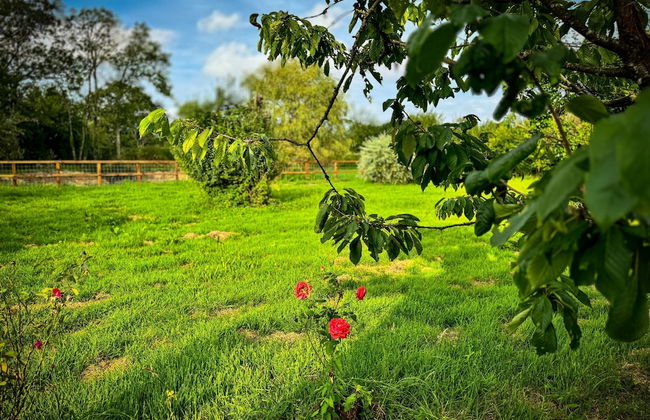 Secluded Harris Green Farm 1-8 Guests - Foto 80