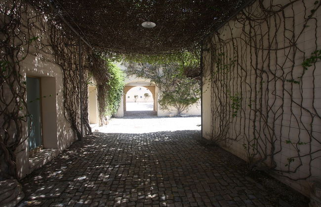CV C - Salinas - Convento das Bernardas - Foto 2