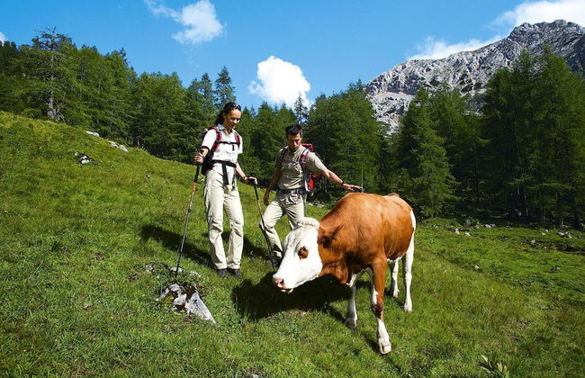 Holiday Home in St. Koloman Near Salzburg - Foto 30