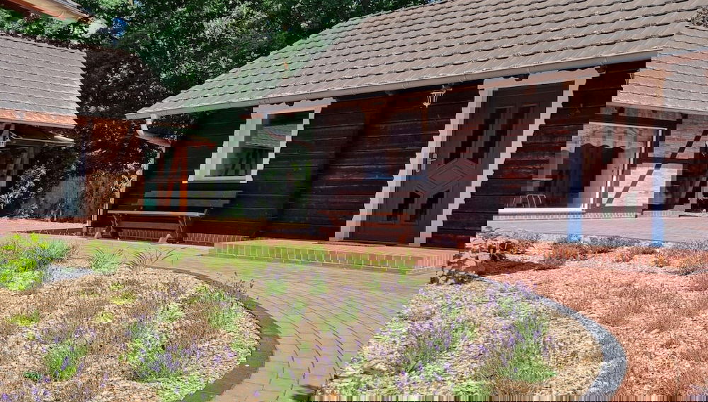 Primary image
