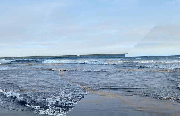 Sunzal Bungalows - Photo 8