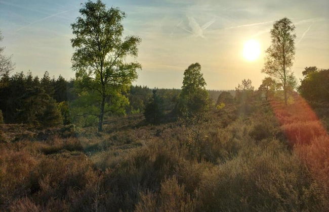Holiday Home in Haarle Near Sallandse Heuvelrug - Photo 28