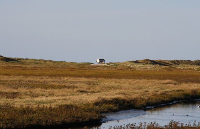 Reihenhaus, St. Peter - Ording - Foto 16