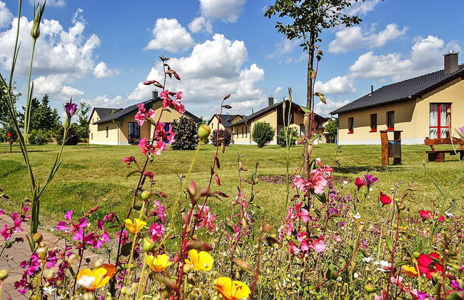 Seepark Auenhain am Markkleeberger See - Foto 15