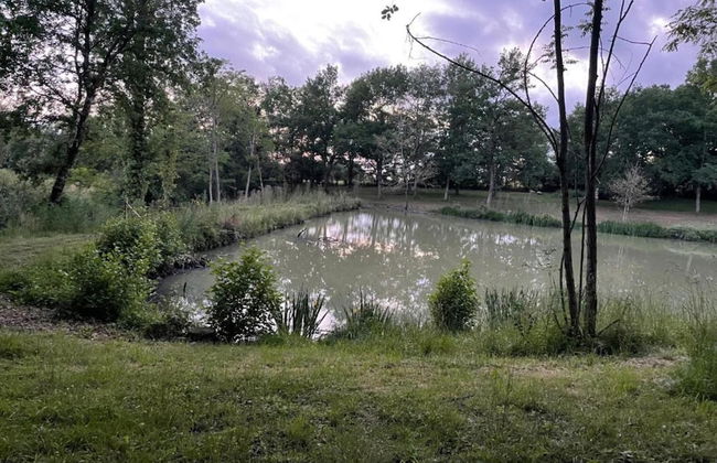 Peyrusse Peace: Pool & Charm - Foto 39