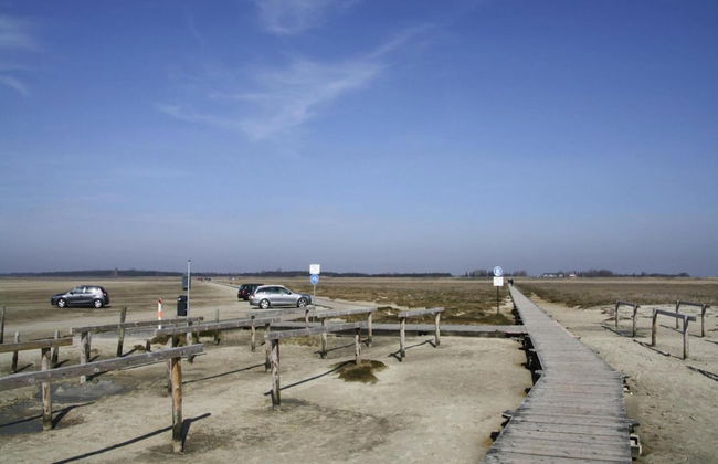 Ferienwohnung, St. Peter - Ording - Foto 13