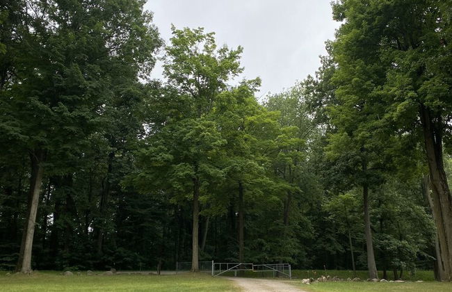 Kamp 42 Degrees Campground - Foto 9